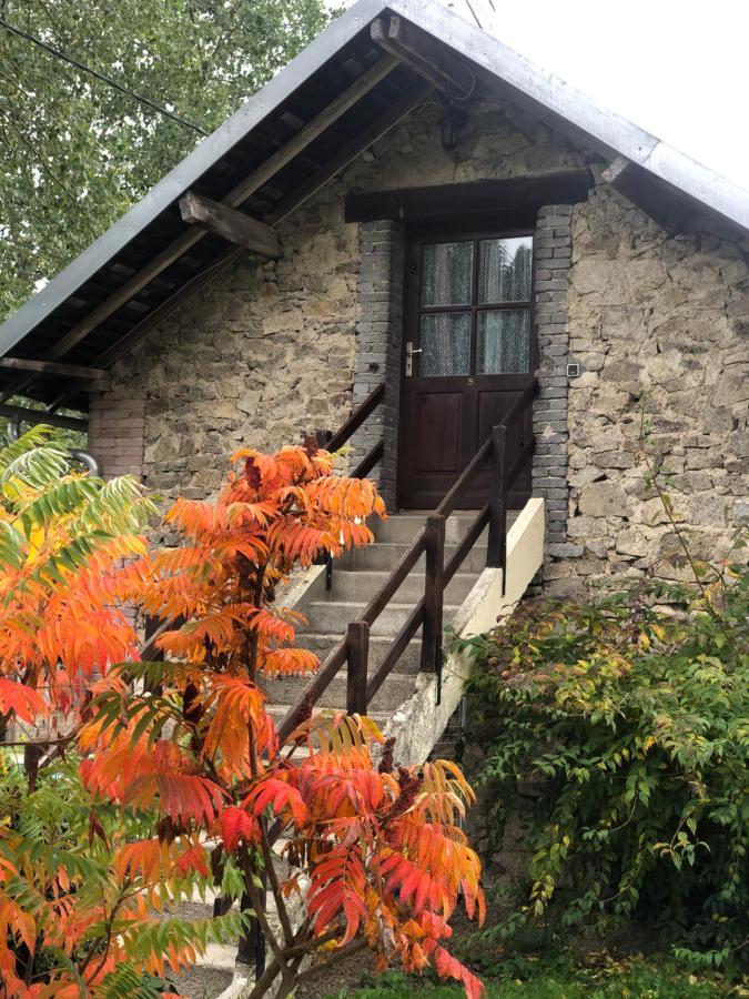 Maison D'Hotes Ourdeaux Et Gite Chez Rouchon Alleyrat  외부 사진