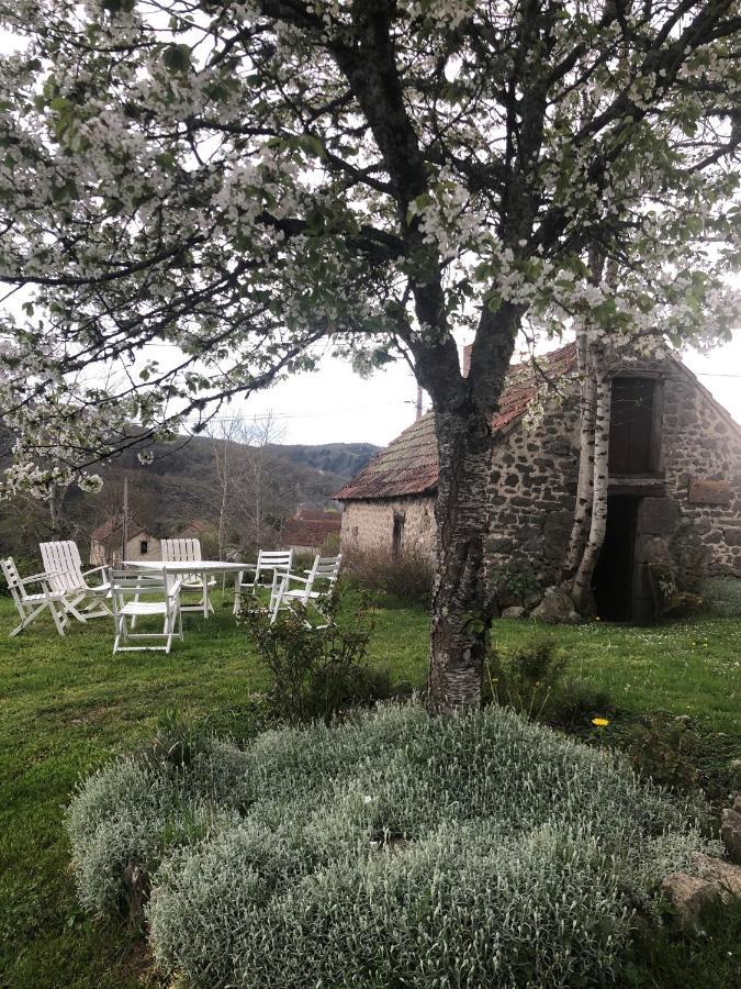 Maison D'Hotes Ourdeaux Et Gite Chez Rouchon Alleyrat  외부 사진